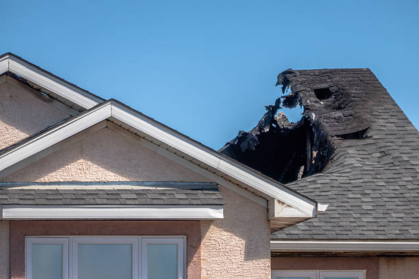 Top rated local Smoke Odor Removal specialists in Alexandria, KY